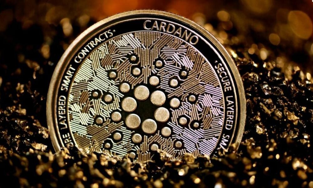 Cardano supera a Ethereum y otras cadenas en actividad de desarrolladores