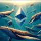 Ethereum sube un 7%: ¿Pueden las ballenas llevar el precio de ETH a 4.000 dólares ahora?