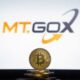 Mt. Gox