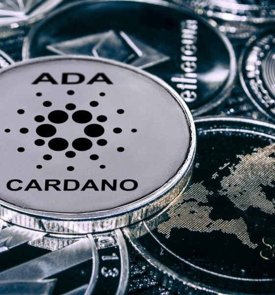 Predicciones del precio de Cardano a medida que explota la actividad de las ballenas;  KangaMoon ofrece oportunidades