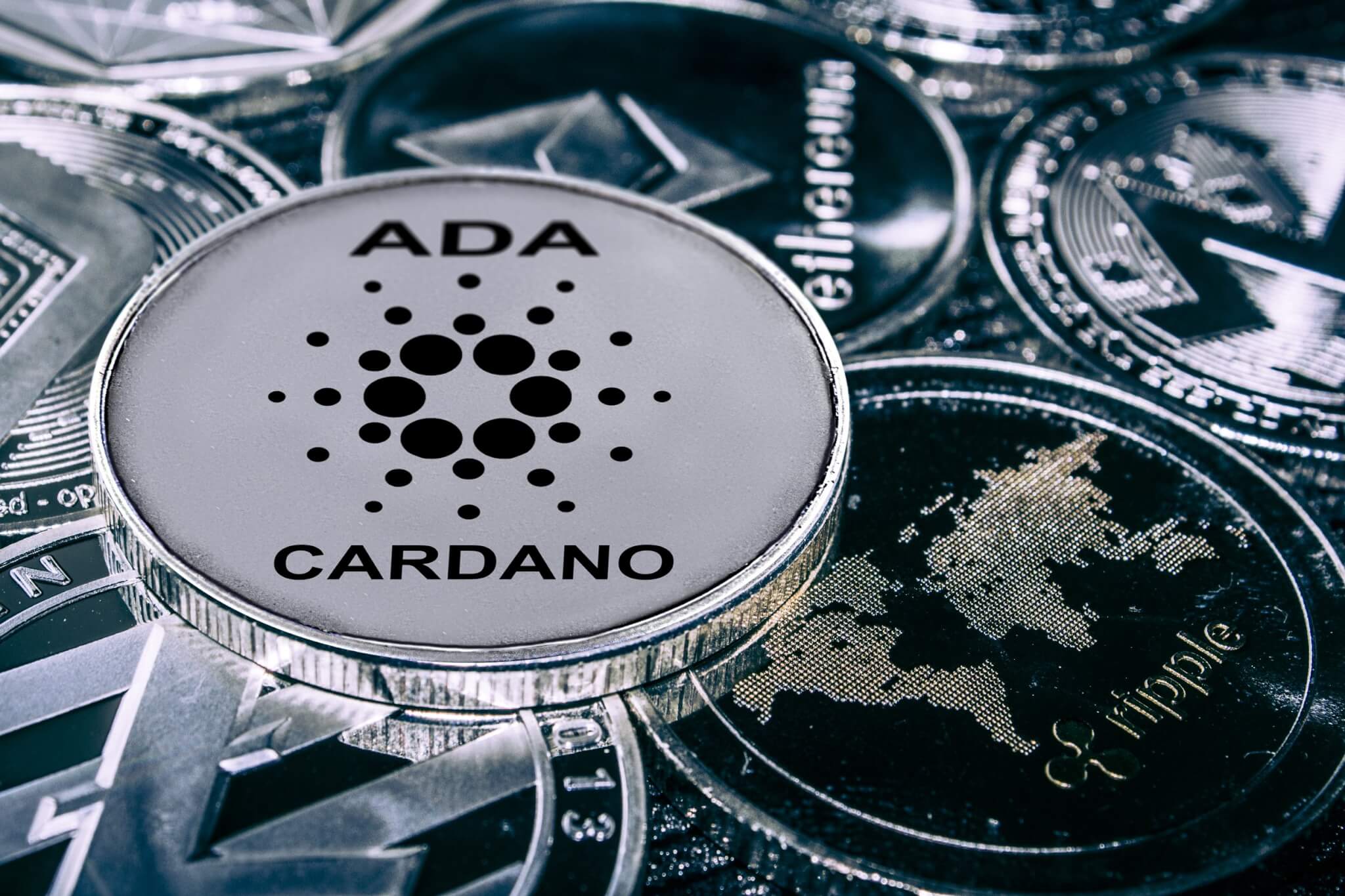 Predicciones del precio de Cardano a medida que explota la actividad de las ballenas;  KangaMoon ofrece oportunidades