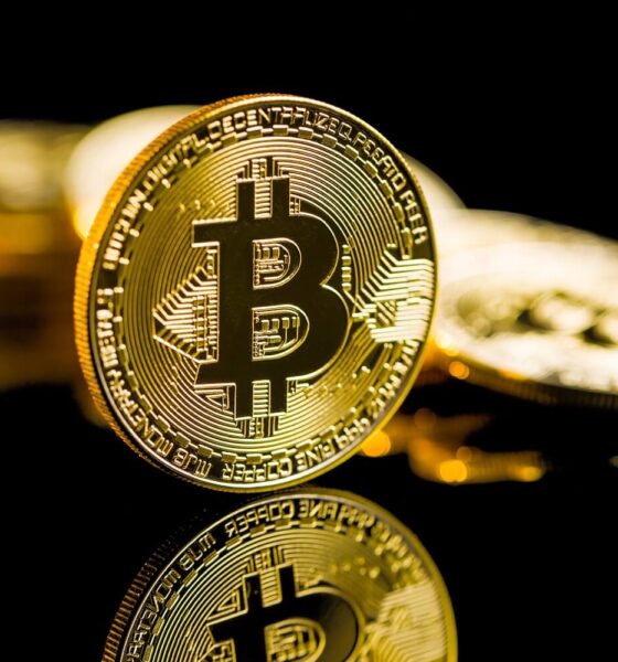 Precio de Bitcoin: He aquí por qué QCP Capital espera que BTC alcance los $74,000