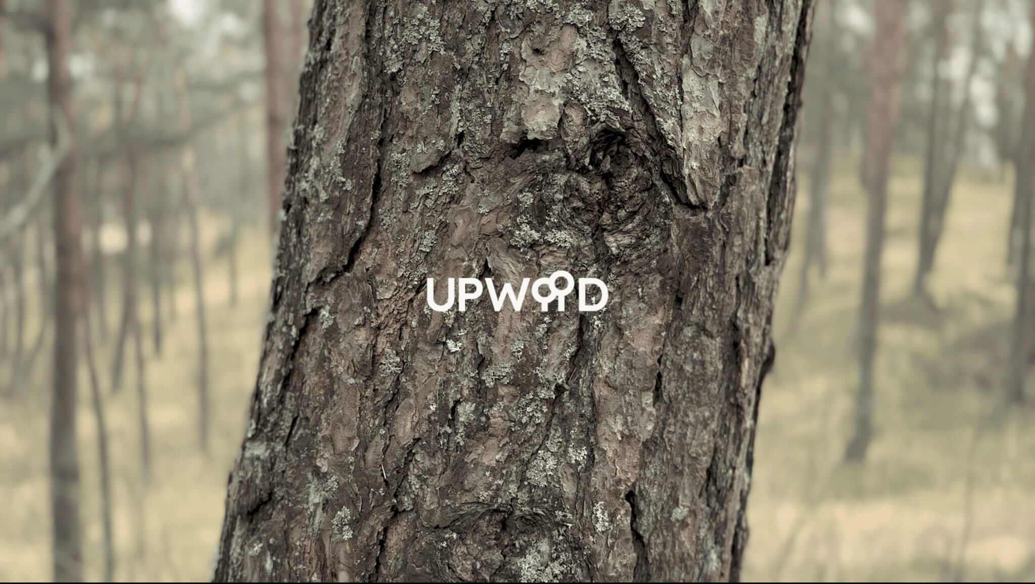 Upwood.io lanza la primera oferta de tokens de seguridad, revolucionando las inversiones en activos forestales