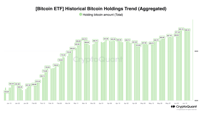 Holdings de ETFs de Bitcoin