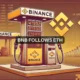 BNB Chain sigue a Ethereum con la última actualización: ¿Algún impacto en el precio?