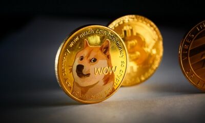 El volumen de Dogecoin y Shiba Inu se desploma a medida que prospera la venta de tokens de Solciety