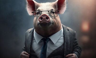 Solana-based Piggy Bankster (PIGS) launches today