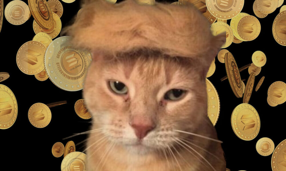 “Meowing America Great Again”: hoy se lanza este nuevo memecoin de PolitiFi que se encuentra con el gato y con Trump