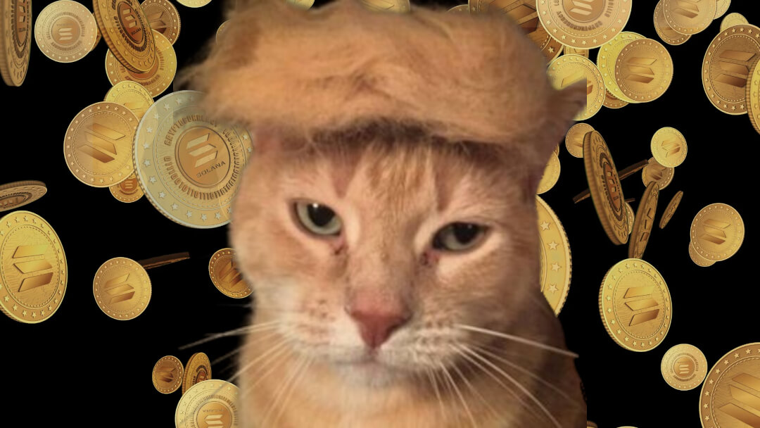 “Meowing America Great Again”: hoy se lanza este nuevo memecoin de PolitiFi que se encuentra con el gato y con Trump