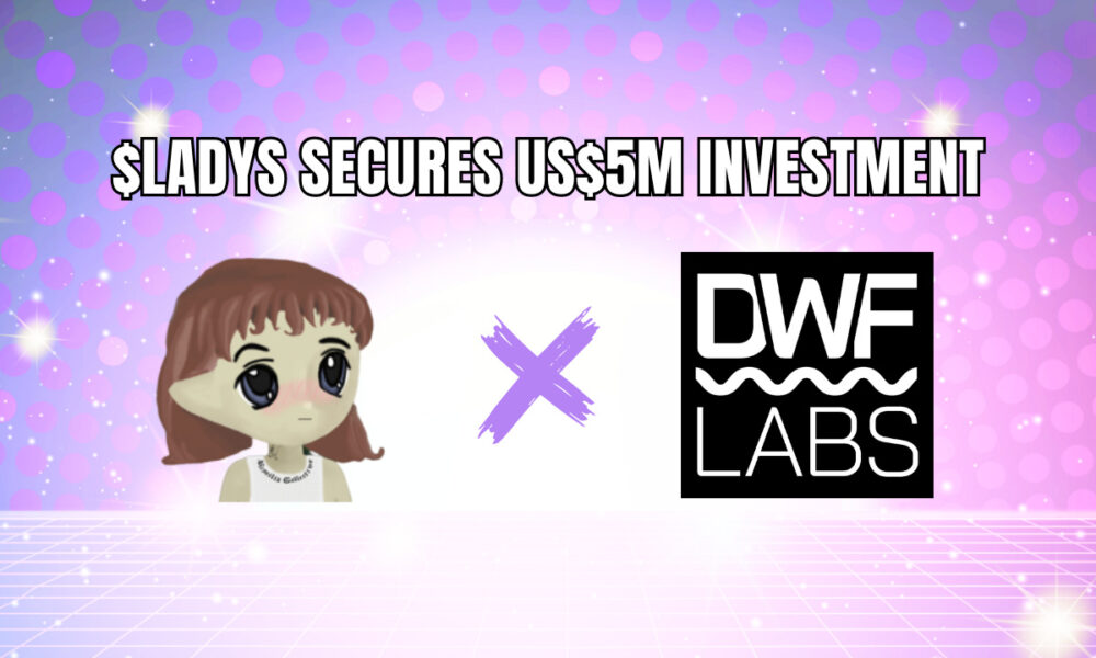 Milady Meme Coin recibe una inversión de 5 millones de dólares de DWF Labs