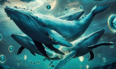 Ballena de Ethereum de la Era de Las ICO Mueve $24 Millones a Kraken