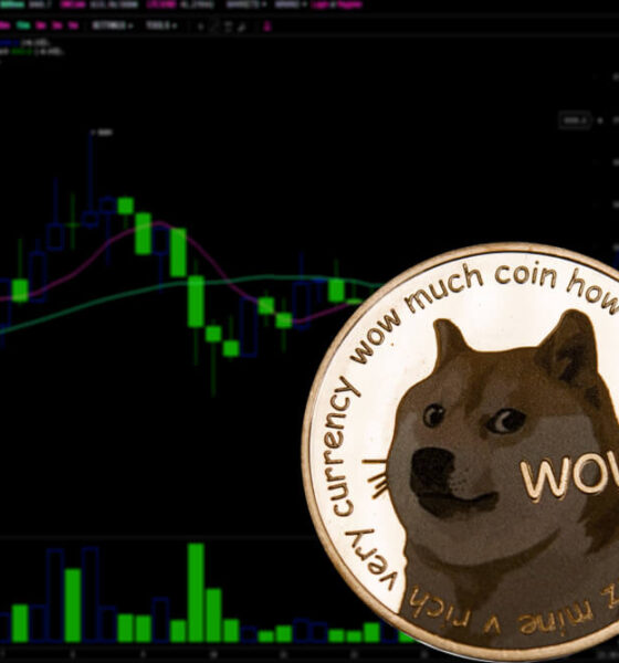 Dogecoin rallies