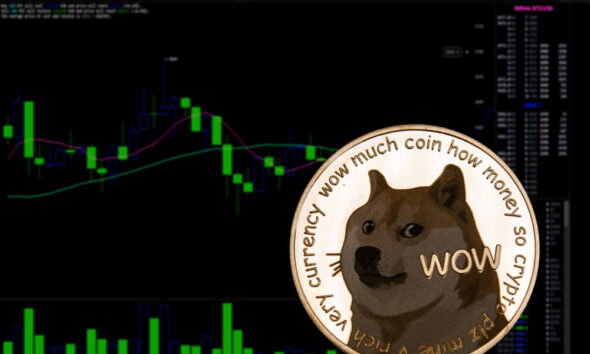 Dogecoin rallies