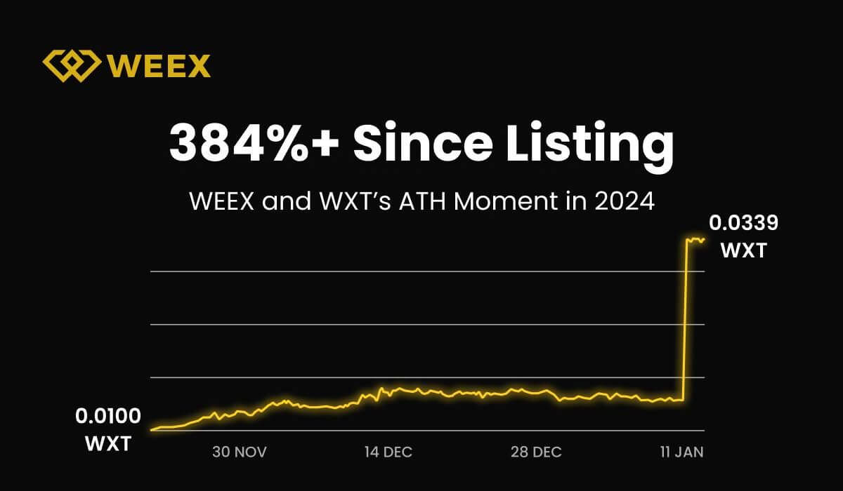 WEEX 2024 Annual Report