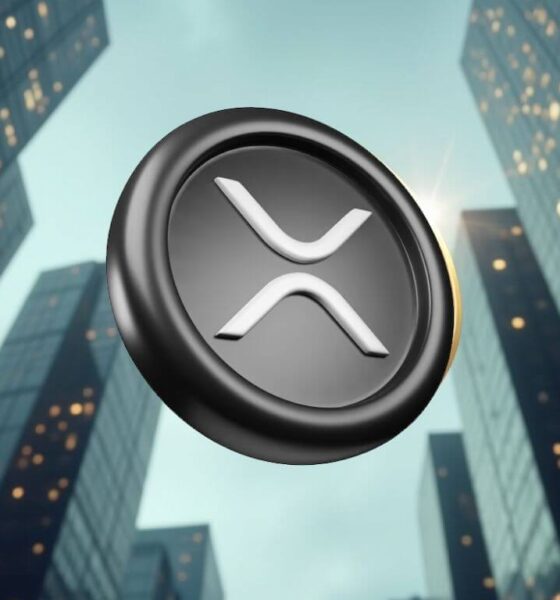 Analysts believe XRP and RXS could lead the way in the next bullrun