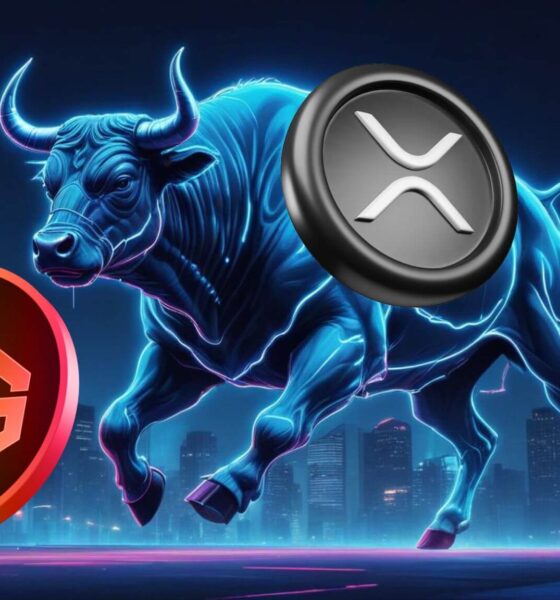 ripple vs rexas finance