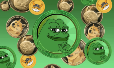 Bitcoin Pepe gana entre la declaración de las monedas de memes de SEC