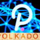 Polkadot